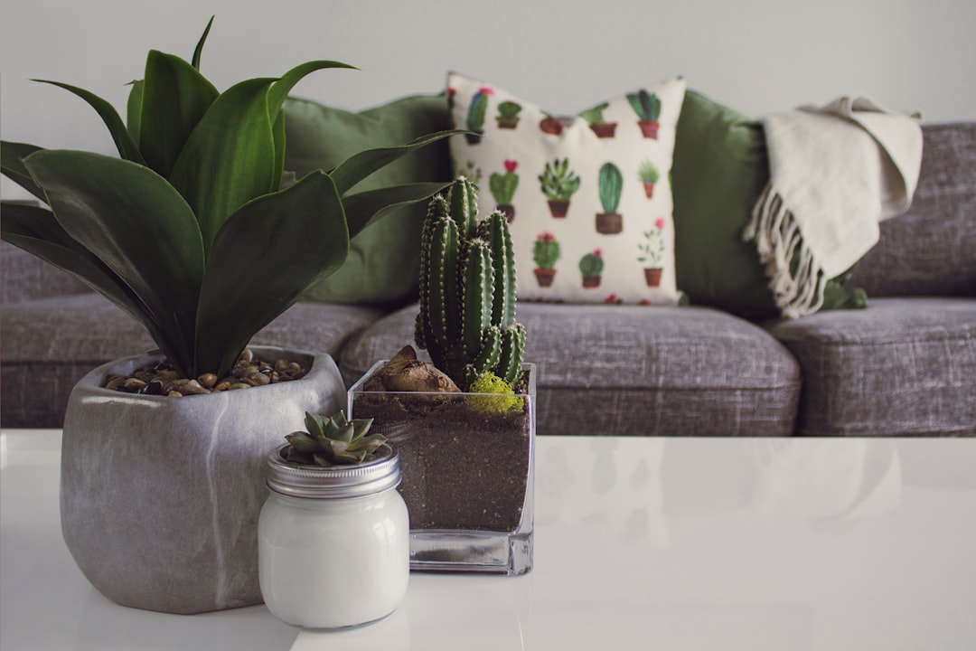 Crafty Haven Shop: Your One-Stop Destination for DIY Supplies